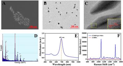 Highly sensitive detection of CYFRA21-1 with a SERS sensing platform based on the MBs enrichment strategy and antibody-DNA-mediated CHA amplification